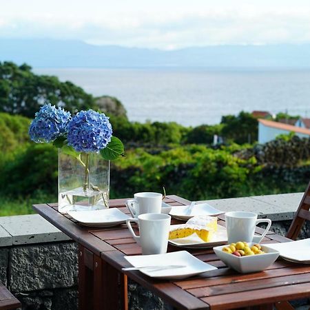 Casa Do Cedro Do Mato Villa Terra Alta Ngoại thất bức ảnh