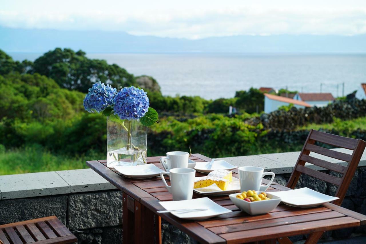 Casa Do Cedro Do Mato Villa Terra Alta Ngoại thất bức ảnh