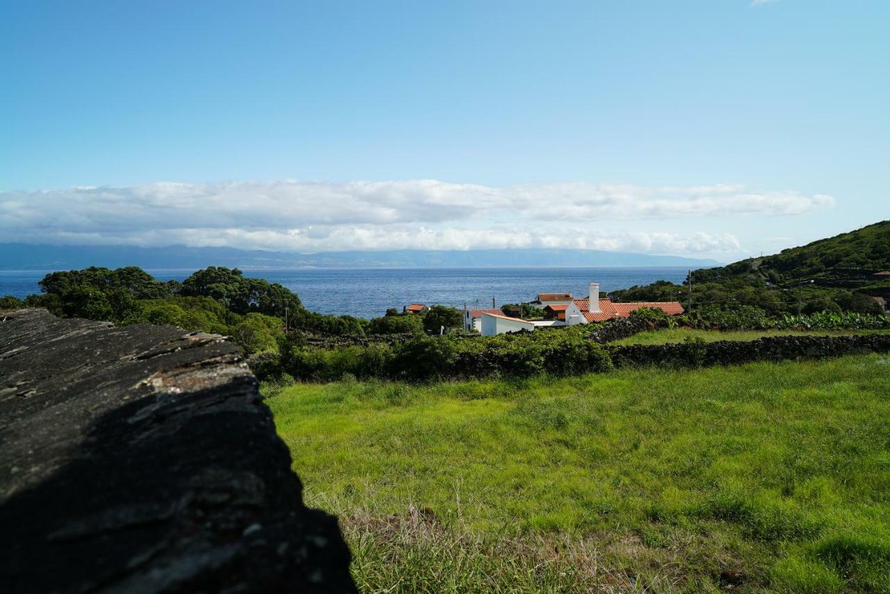 Casa Do Cedro Do Mato Villa Terra Alta Ngoại thất bức ảnh